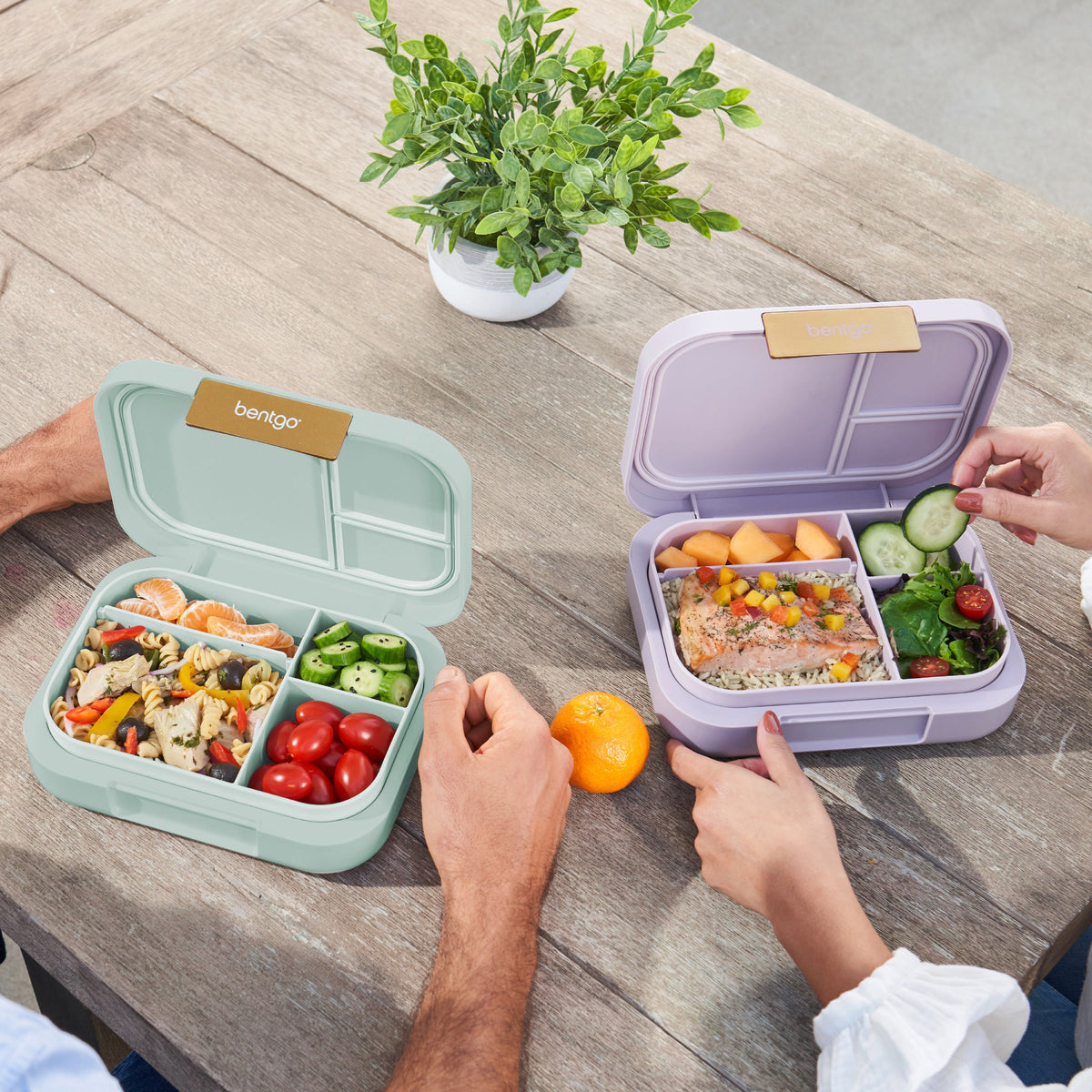 bentgo-modern-lunch-box-2-pack-e5 COSTCOBMCPRODUCTIMAGE_2.jpg